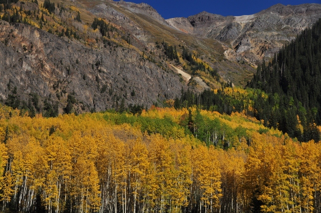jeep tour to Brown Mountain